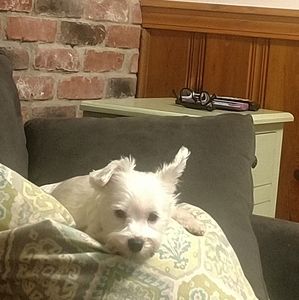 Meet your Posher, Colleen